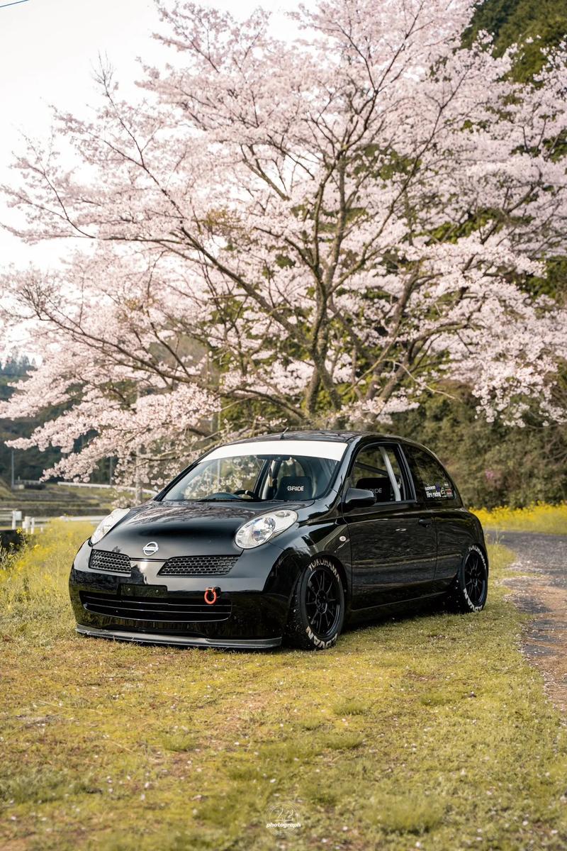 请问,“改装车” 这个词用英语怎么表达,谢谢?? 请问,“改装车” 这个词用英语怎么表达,谢谢??